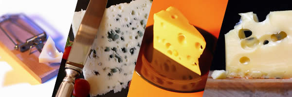 Cheeses